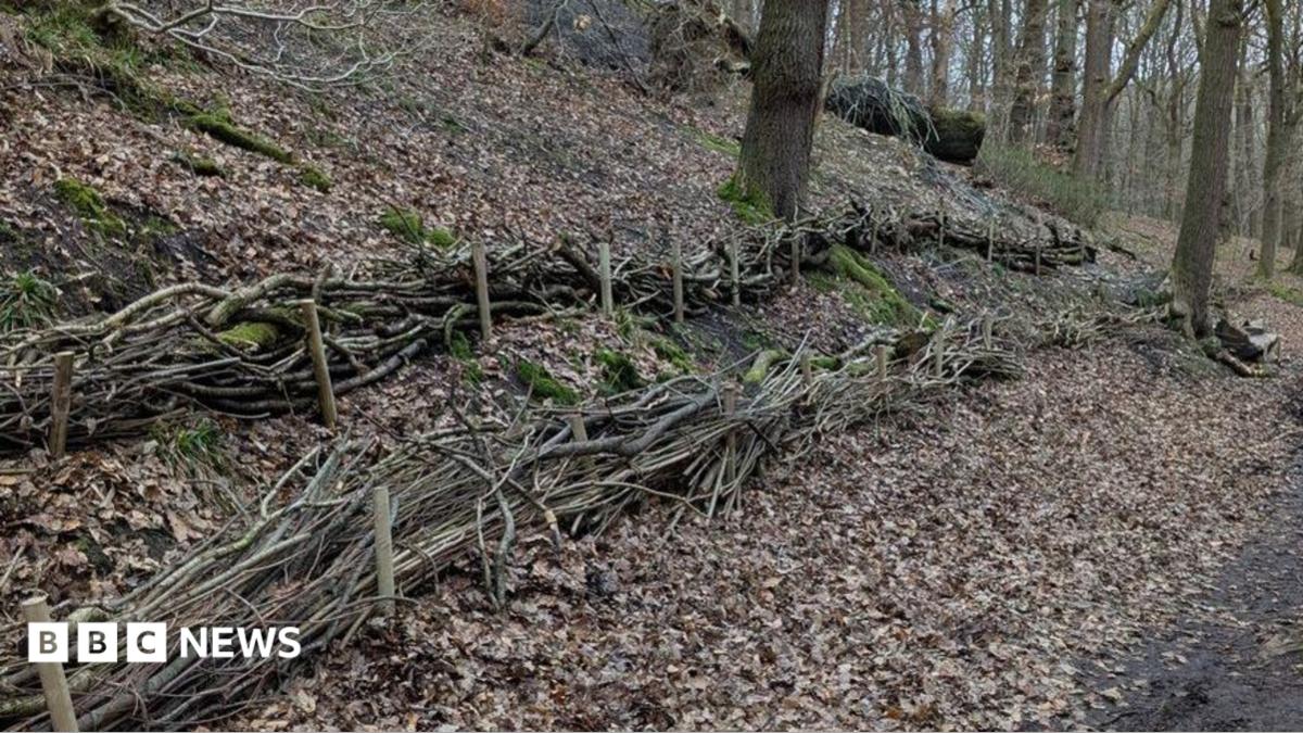 Anti-flood project in Shipley to ‘help nature thrive’
