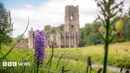 Orchids return to grassland after 28 Years Later filming