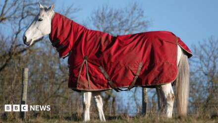 Horse laundry facility in Bradford gets go-ahead