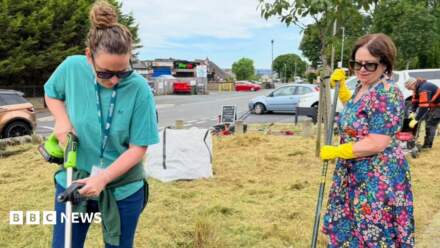 Lepton villagers cut down ‘neglected’ council land grass
