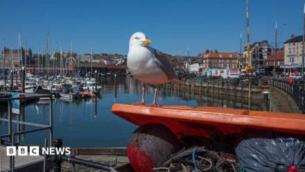 Gull-proof bins installed in coastal communities