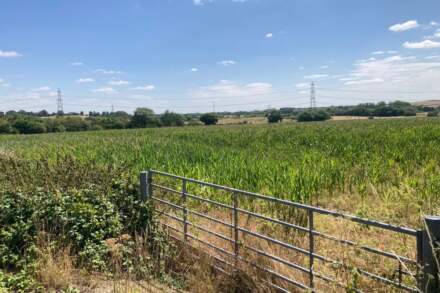 New industrial estate could create almost 1,000 jobs