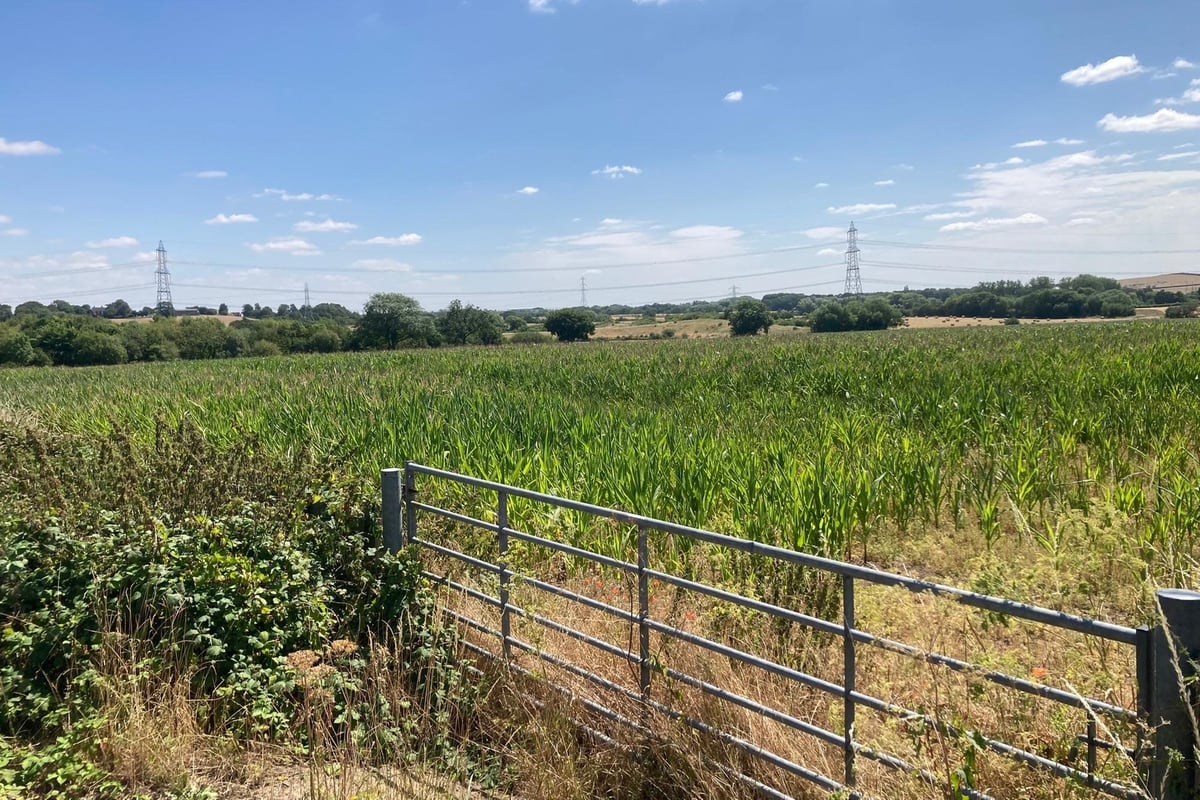 New industrial estate could create almost 1,000 jobs