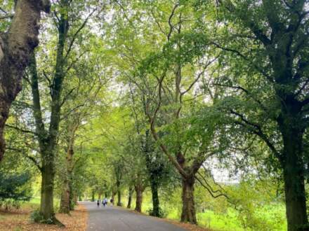 Leeds parks continue to be recognised as some of the best in the country