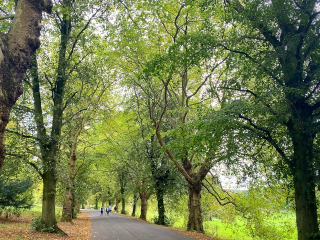 Leeds parks continue to be recognised as some of the best in the country