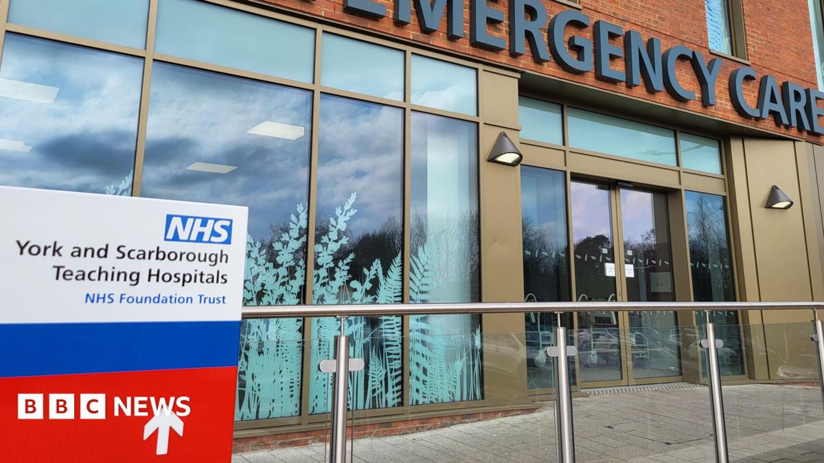 York and Scarborough hospital staff wrongfully accessed records