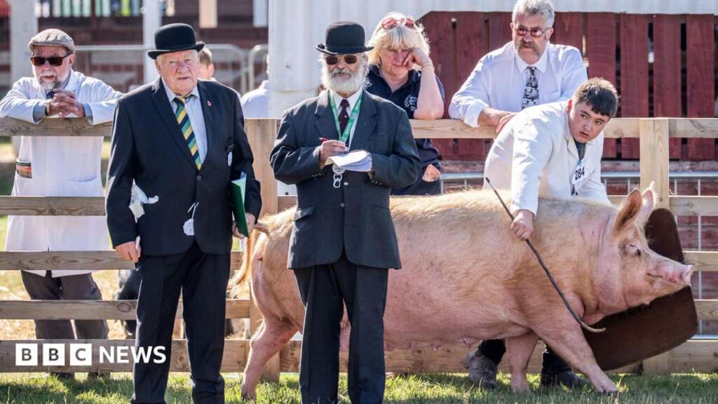Great Yorkshire Show 2026: Here’s everything you need to know