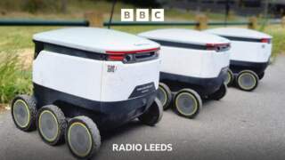 Delivery Robots – Polite and cute or in the way?