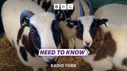Need To Know North Yorkshire