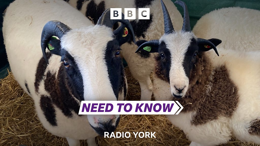 Need To Know North Yorkshire