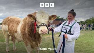 Highlights from the Great Yorkshire Show 2026