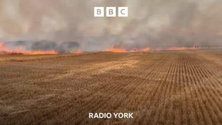 'If it wasn't for farmers we'd have lost our home'