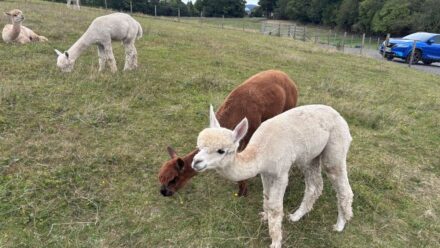 ‘I went to Cumbria for the weekend and found something even better than the Lake District’
