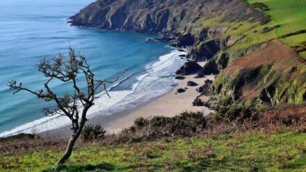 Seaside bench offers ‘best views in England’ and everyone wants to be there