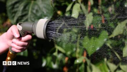 Yorkshire Water urges ‘wise’ usage during heatwave
