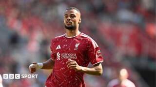 Why Tottenham want Liverpool forward Cody Gakpo