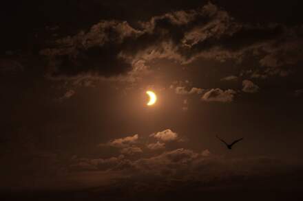 When the next solar eclipse is and how much of the Sun will be covered from the UK