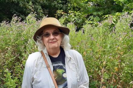 Sheffield park Friends group determined to continue pushing restoration plan