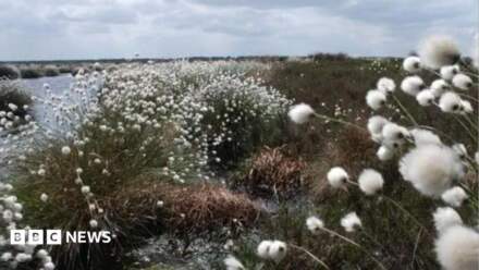 Nature reserve near Doncaster closed due to wildfire risk
