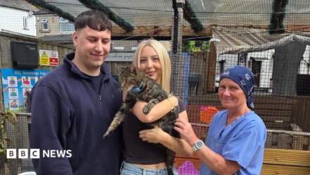 ‘Very soggy moggy’ rescued after falling in Leeds and Liverpool Canal