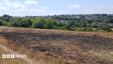 Sheffield nature reserve suffers 10 fires in recent weeks