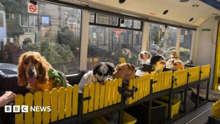 Owner ‘heartbroken’ after vandals target Ilkley dog bus