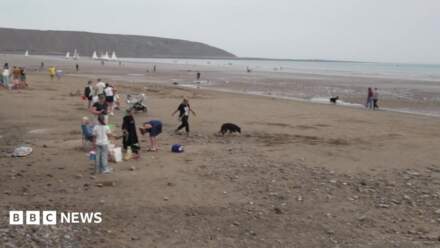 Filey beachgoers warned against swimming after pollution alert