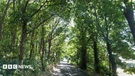Two men and boy, 17, killed in crash near Rotherham