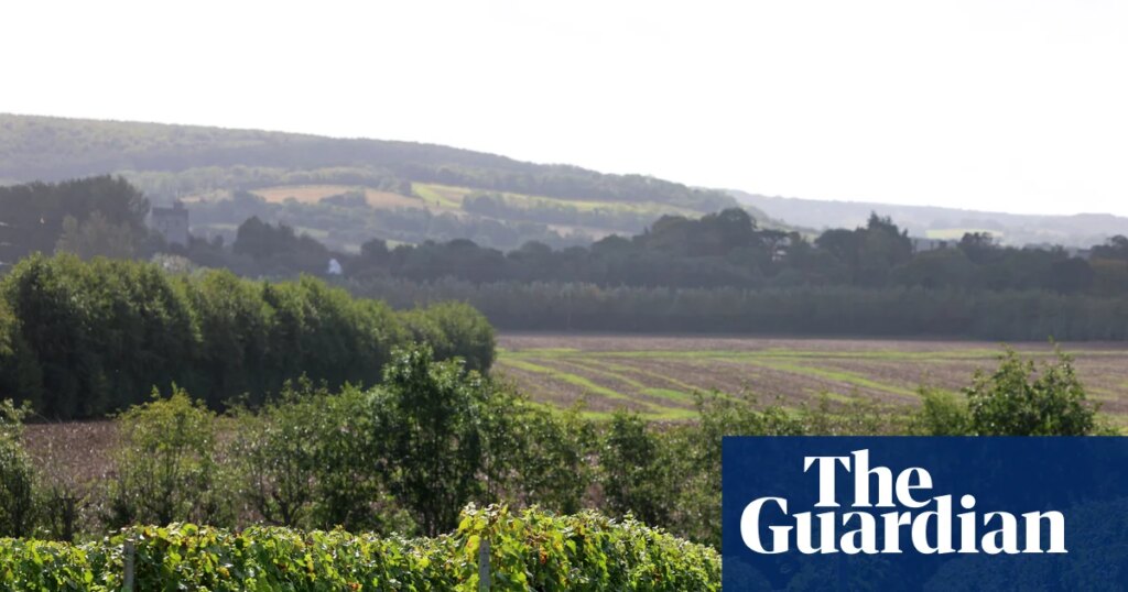 Kent is having a champagne moment: ‘English wine has gone from a joke to world-class’ | Wine holidays
