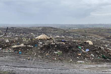 Welbeck: City’s landfill site ‘on target’ to close after almost three decades