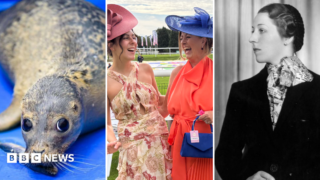 Yorkshire news quiz of the week – test your knowledge