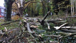 More than 130 reports of storm-related incidents across Hull and East Yorkshire during Storm Boelo