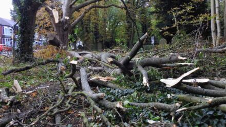 More than 130 reports of storm-related incidents across Hull and East Yorkshire during Storm Boelo